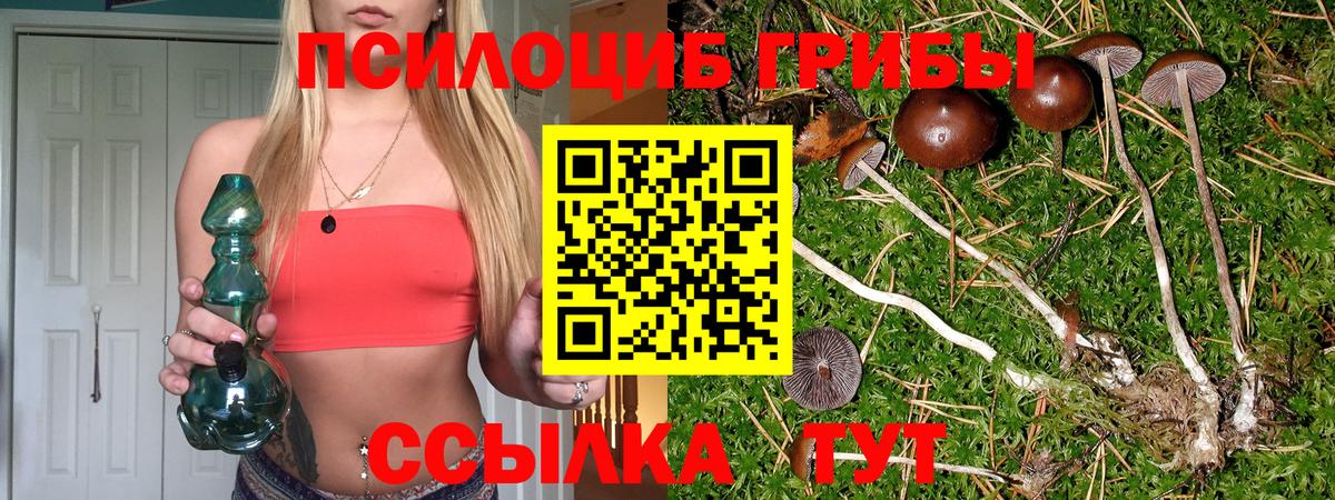 Галлюциногенные грибы мицелий Воткинск