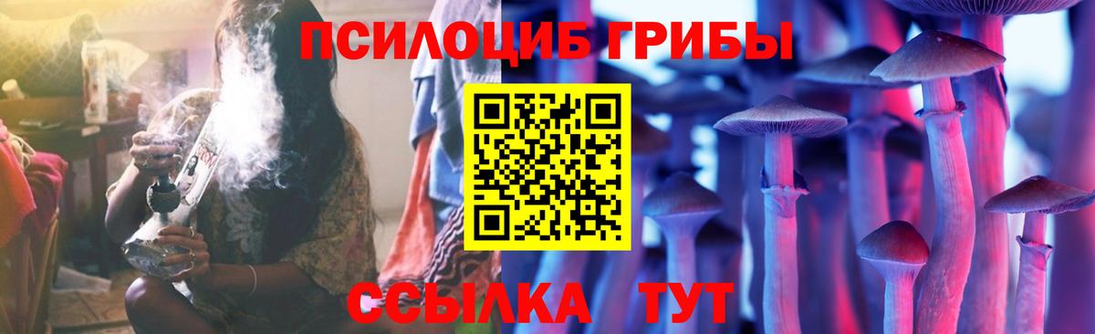 Псилоцибиновые грибы Cubensis  Вход с VPN  Воткинск 